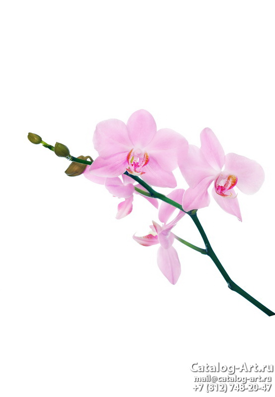 Натяжные потолки с фотопечатью - Розовые орхидеи 87
